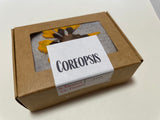 Coreopsis Pressed Petals - 11 flowers (22 prints)