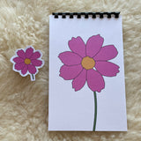 Cosmos - Notebook